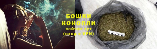 ешки Верхний Тагил