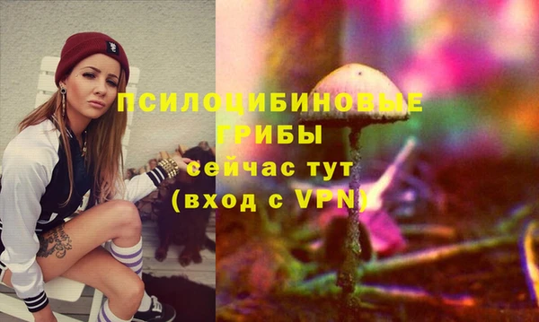 ешки Верхний Тагил