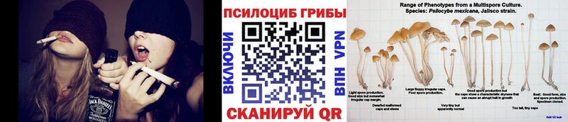 Псилоцибиновые грибы ЛСД  Лысьва 